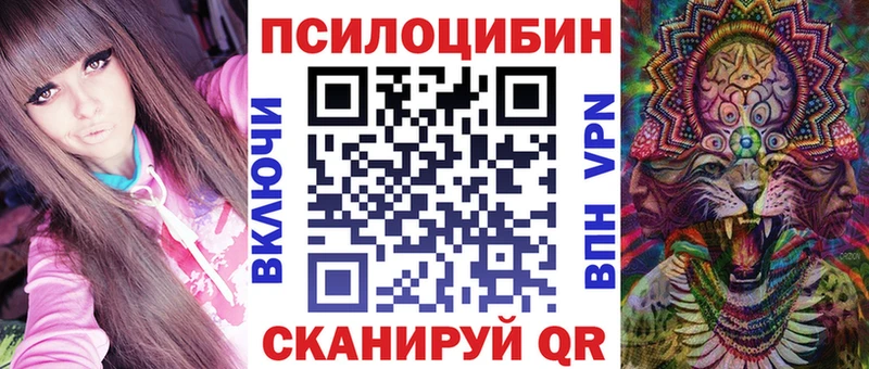 Купить  Ульяновск  Галлюциногенные грибы Psilocybine cubensis 